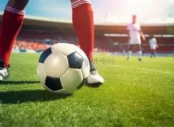 雷迪克誓言,湖城执教生,涯将长达,365体育app下载,365体育官网,365体育官方网站,365体育平台