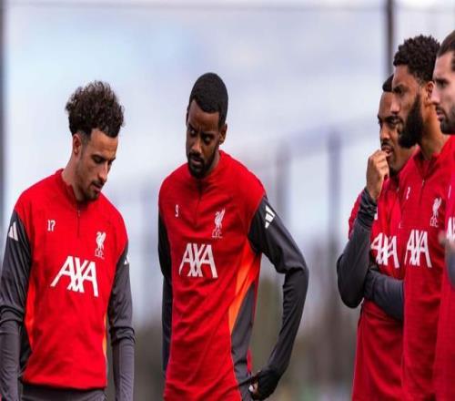 驻华使节新,春之旅,感受非遗魅,365体育app下载,365体育官网,365体育官方网站,365体育平台