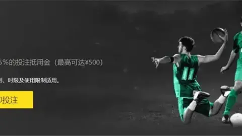 “申遗盛事新春佳节绽放光彩（人民视角·基层新春探访）”