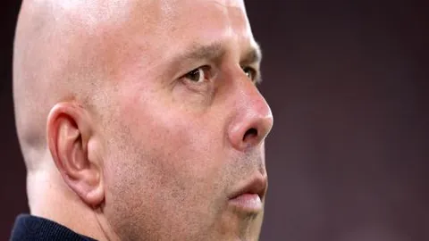 何塞·卢获安切洛蒂大力推崇：贡献非凡价值